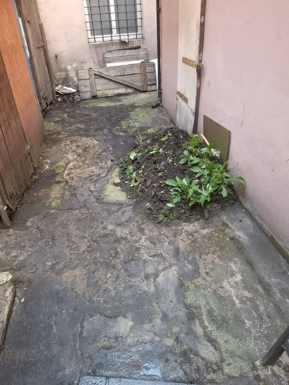 Podwórko z zabrudzoną nawierzchnią i pryzmą ziemi z roślinami